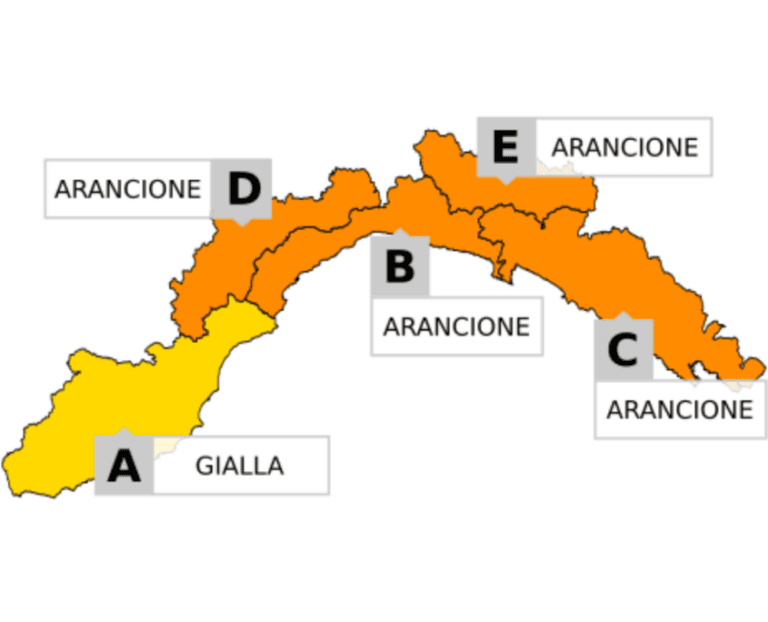 allerta_meteo
